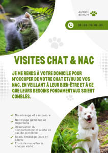 Photo de galerie - Visites chats & NAC