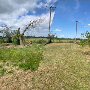 Photo de galerie - Elagage et coupe d'arbres