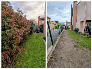 Photo de galerie - Abbatage et arrachage d'une haie de photinia 