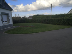 Photo de galerie - Première tonte après 2 ans sans entretien 