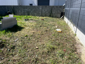 Photo de galerie - Tonte de pelouse - Débroussaillage