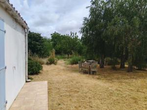 Photo de galerie - Cela faisait 1 an que le terrain n'avait pas été entretenu 