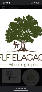 Photo de galerie - Élagage abattage Étêtage