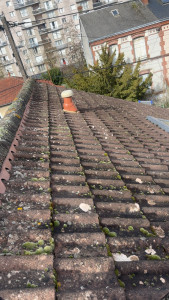 Photo de galerie - Traitement toiture algicide fongicide 