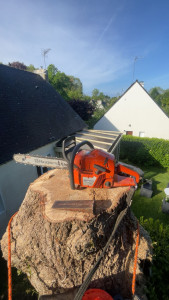 Photo de galerie - Elagage d’un chêne coller à une maison 