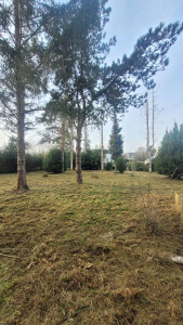 Photo de galerie - Débroussaillage d'un terrain de 1900 M2 (Après)