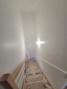 Photo de galerie - Une cage escalier en velours avec une peinture de marque chez seingerie Gautier
