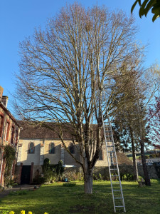 Photo de galerie - Paysagiste - Aménagement du jardin