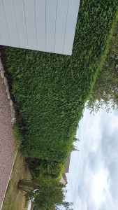 Photo de galerie - Avant