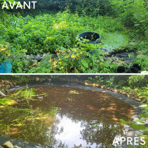 Photo de galerie - Entretien piscine