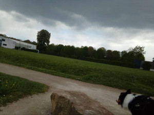 Photo de galerie - Je fais aussi des Promenades et des visites 