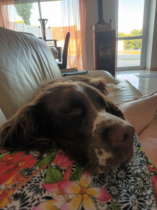 Photo de galerie - Faire dodo sur tata Agathe