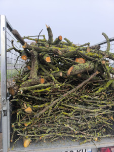 Photo de galerie - évacuation de déchet 