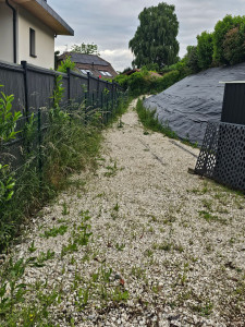 Photo de galerie - Tonte de pelouse - Débroussaillage