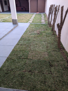 Photo de galerie - Plantation de gazon