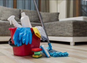 Photo de galerie - Bonjour, je voudrais vous proposer ma candidature pour être femme de ménage afin que je puisse effectuer le ménage ou repassage à votre domicile. 