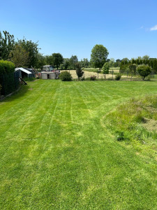 Photo de galerie - Tonte 