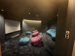 Photo de galerie - Salle de cinéma spot+ ruban led extensions d’une villa 