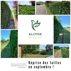 Photo de galerie - Taille de haies et d'arbustes