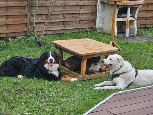 Photo de galerie - Dans le jardin