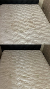 Photo de galerie - Nettoyage matelas 2 places 