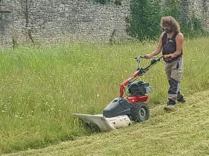 Photo de galerie - Un p 70 pour une herbes  hautes 