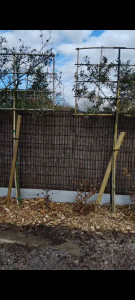Photo de galerie - Paysagiste - Aménagement du jardin