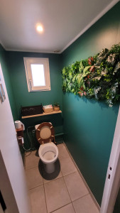 Photo de galerie - Mise en peinture murs et plafond wc