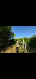 Photo de galerie - Paysagiste - Aménagement du jardin