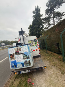 Photo de galerie - Bonjour je suis disponible  pour faire votre  Elagage ou coupe d'arbres  et je suis équipé, camion Nacelle Et si c’est toi le travail, je suis en équipe Facture ou sans facture si vous êtes intéressé, merci de me répondre 