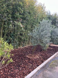 Photo de galerie - Entretien mensuel 