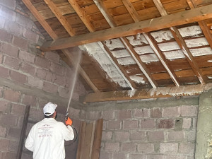 Photo de galerie - Charpente