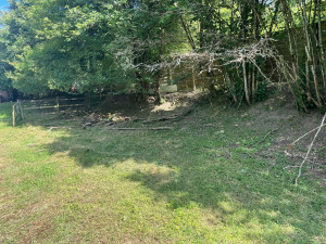 Photo de galerie - Tonte de pelouse - Débroussaillage