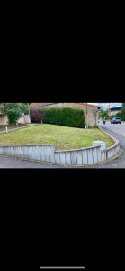 Photo de galerie - Tonte gazon