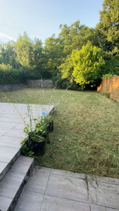 Photo de galerie - Tonte de pelouse - Débroussaillage