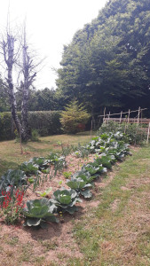 Photo de galerie - Jardinier