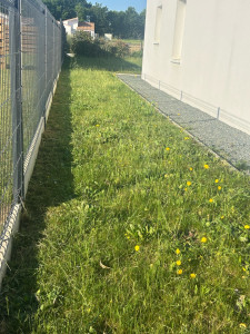 Photo de galerie - Tonte de pelouse - Débroussaillage