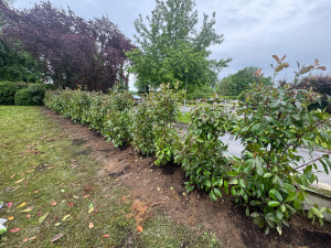 Photo de galerie - Paysagiste - Aménagement du jardin