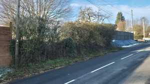 Photo de galerie - Taille de haies et d'arbustes