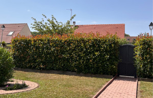 Photo de galerie - Taille de haies et d'arbustes