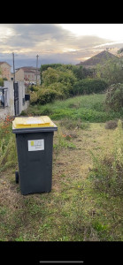 Photo de galerie - Tonte de pelouse - Débroussaillage