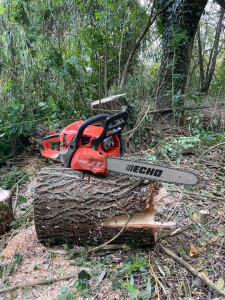 Photo de galerie - Pouvons coupez et abattre des arbres 