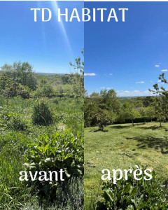 Photo de galerie - Entretien espace vert