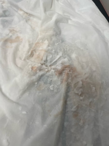 Photo de galerie - Traitement du drap taché de sang ? ( pendant )