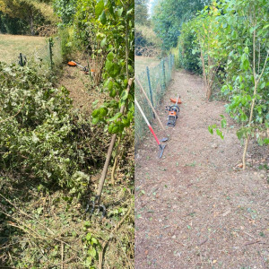 Photo de galerie - Jardins 