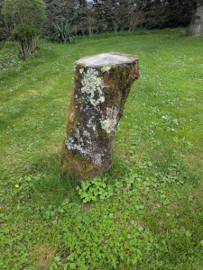 Photo de galerie - Paysagiste - Aménagement du jardin