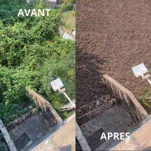 Photo de galerie - Débroussaillage