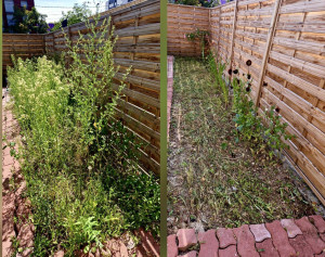 Photo de galerie - Avant-Après 