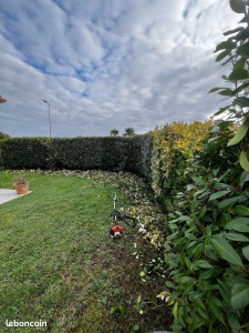 Photo de galerie - Entretien Parc et jardin 