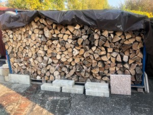 Photo de galerie - Elagage et coupe d'arbres